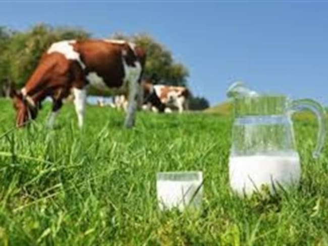 En Nariño esperan soluciones a problemas de lecheros y varios sectores del agro