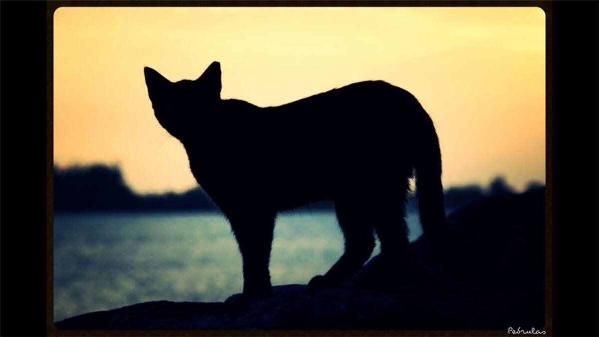 Y en la semana de "Vida urbana", otra imagen de Venezuela que nos envió Linda Rondón. La foto muestra “la indigencia en las calles de Valencia, estado Carabobo. Representa también una vida urbana cotidiana para quienes transitan por pleno centro valenciano”.