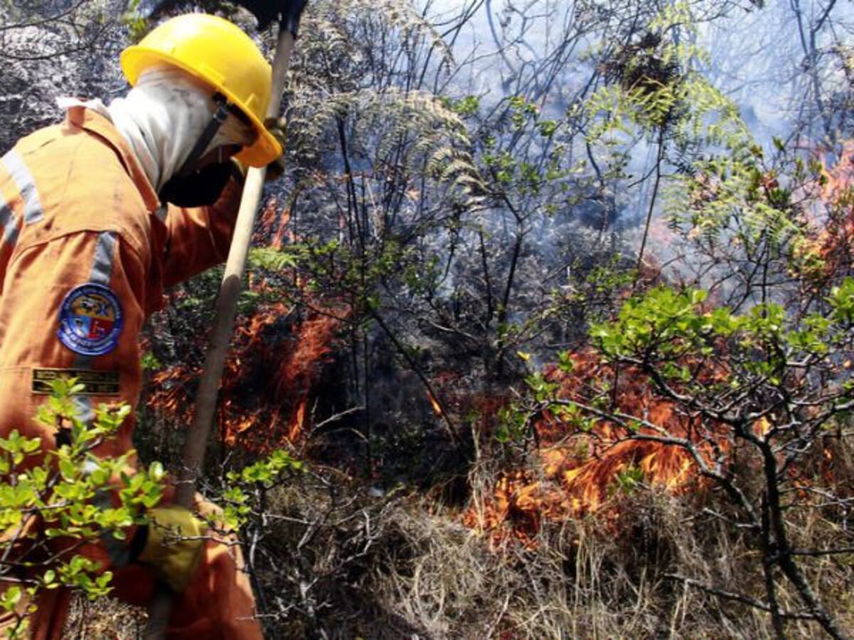 Incendios forestales multiplican tareas de bomberos en el Valle del Cauca