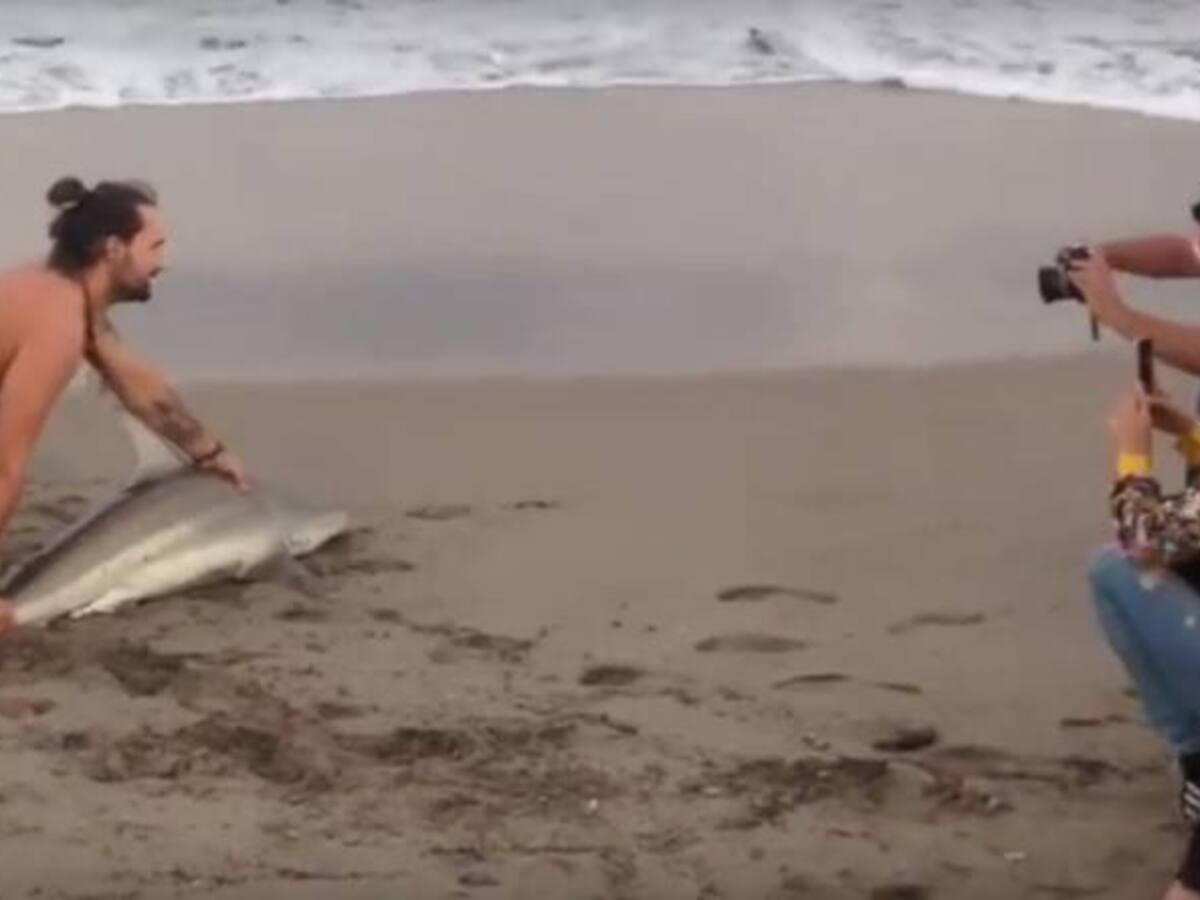Indignación por hombres que sacan un tiburón del mar para tomarse fotos