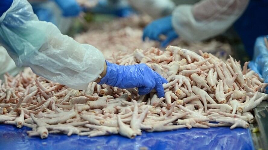 Imagen de referencia. Foto: Getty Images