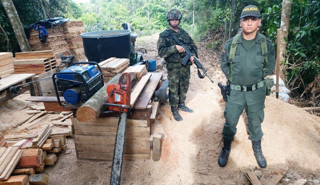 Material incautado en operativos de protección del medio ambiente