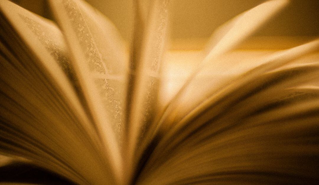 Diccionario, referencia. 