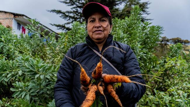 Documental día del Campesino