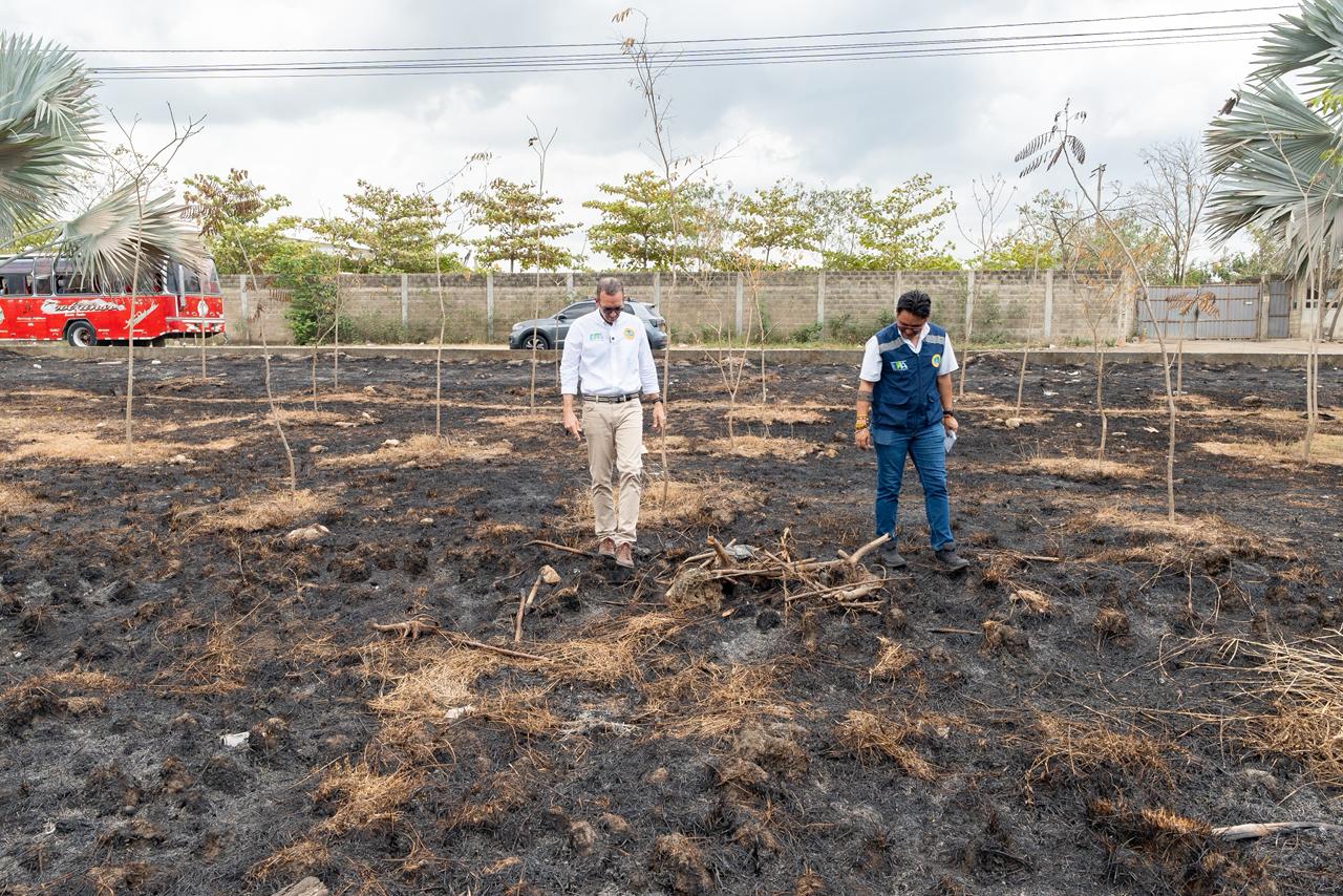 Alcaldía de Cartagena