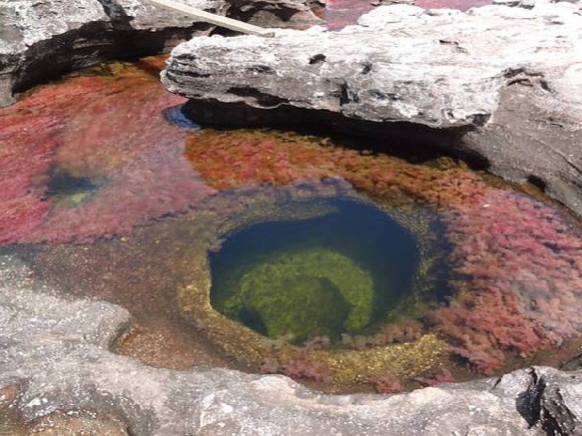 No hemos sido notificados de revocatoria de licencia ambiental: Hupecol