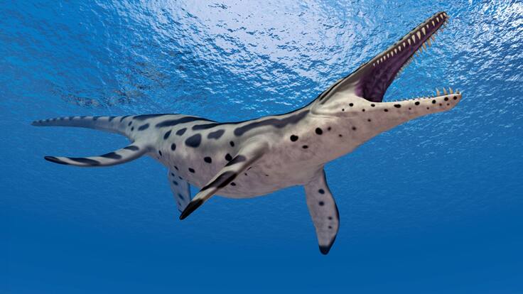 Javier García, líder del estudio