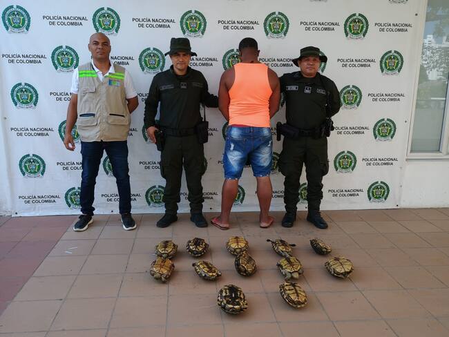 Capturan a hombre comercializando hicoteas ilegalmente en Cartagena