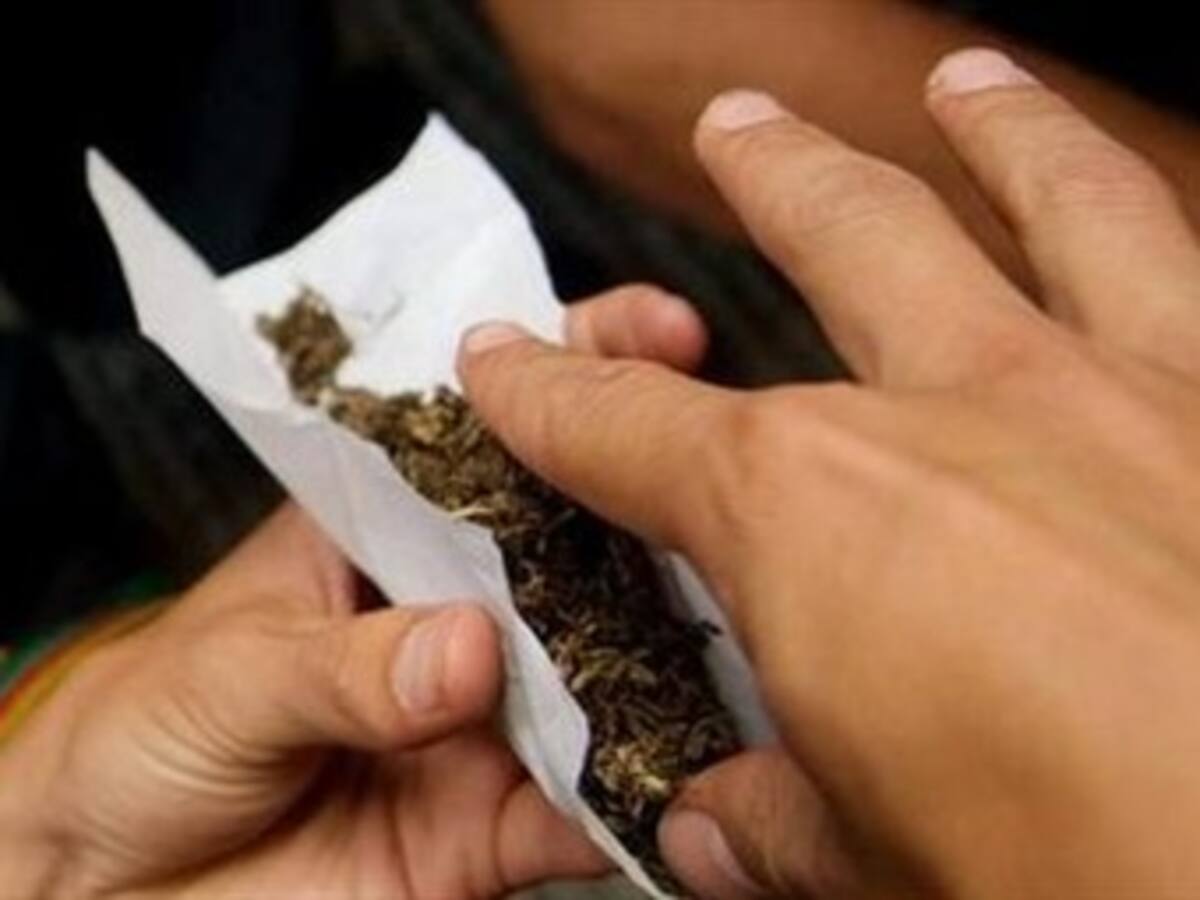 Más de cinco sentencias de la corte dan viabilidad a marihuana terapéutica