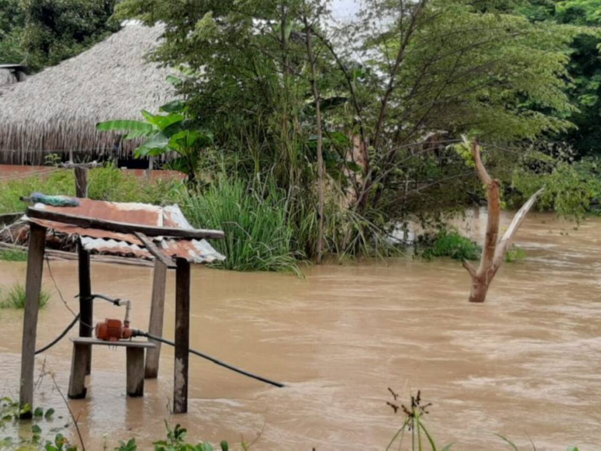 Desbordamiento de quebrada dejó a 150 familias damnificadas en Morales