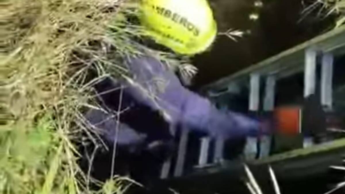 En Neiva rescatan cachorro que cayó a un hueco de seis metros de profundidad
