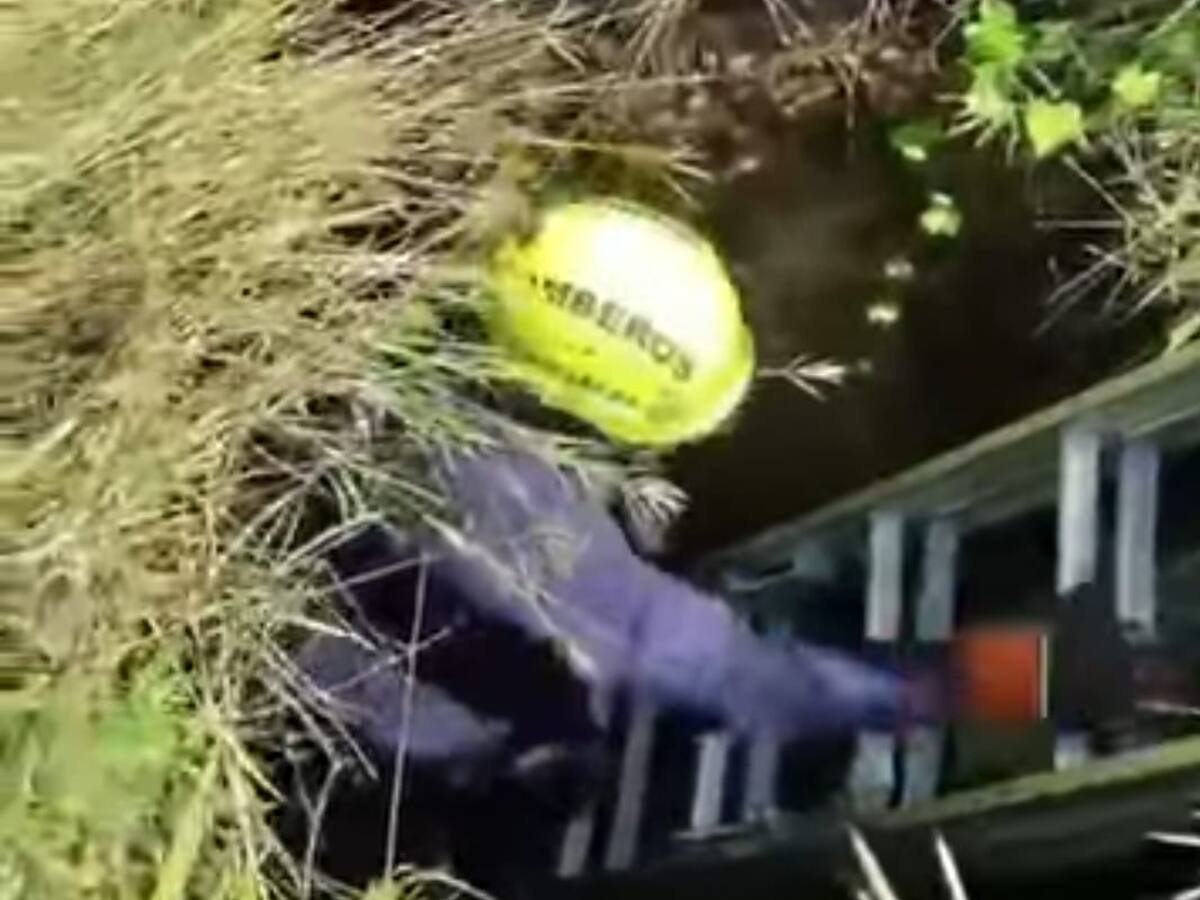 En Neiva rescatan cachorro que cayó a un hueco de seis metros de profundidad