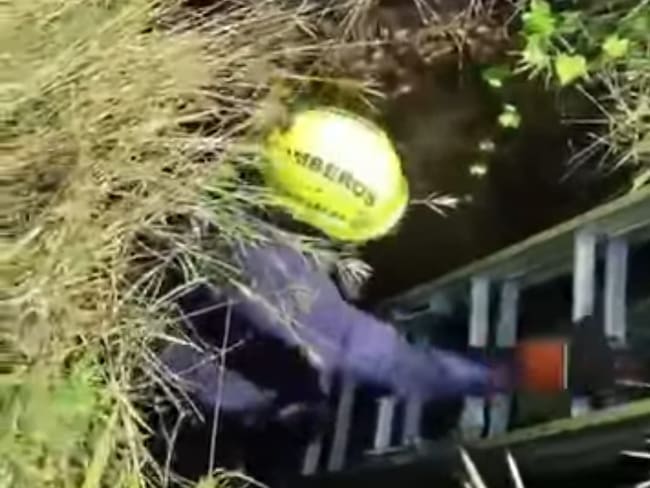 Durante el año se han salvado más de 100 animales entre perros, gatos. Foto Redes Sociales.