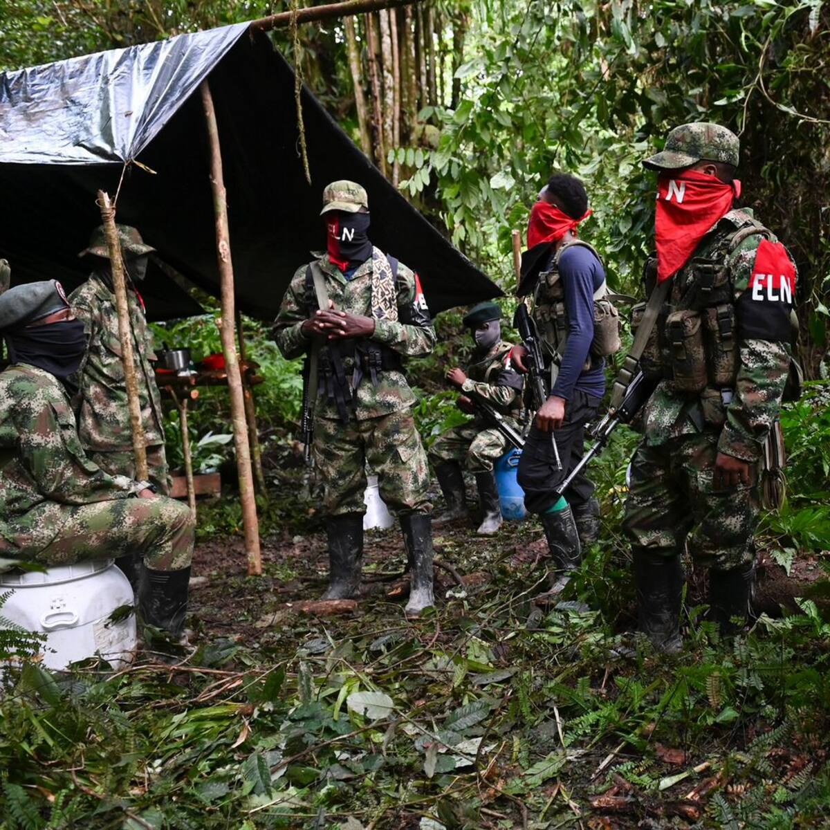 Hay profundas dudas sobre el cese al fuego del ELN: gobernador de Antioquia