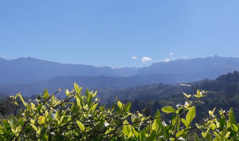 Todos los días 5:45, 6:48, 7:48 y 8:45 a.m. escuche la información local en Caracol Radio 