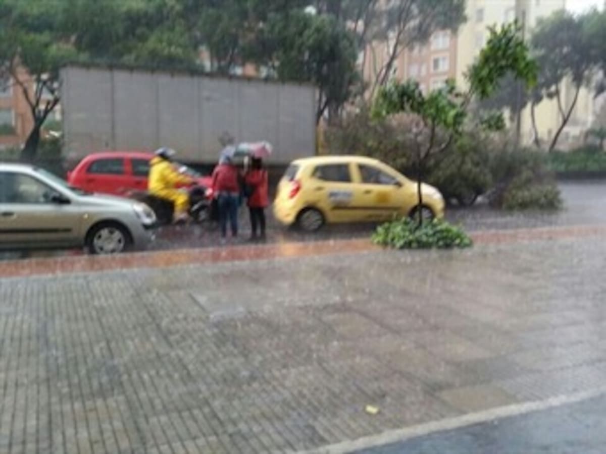 Emergencia en Bogotá por árbol que cayó sobre dos vehículos