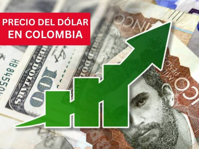 Precio del dólar en Colombia para este 19 de enero de 2026 Foto: Getty Images