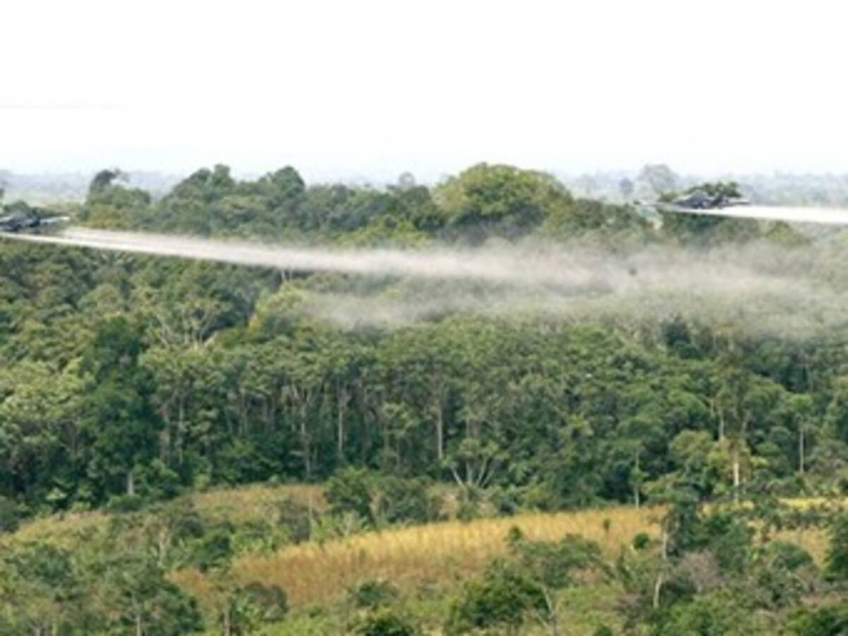 Consejo de Estado ordenó a la Policía reforestar áreas afectadas por glifosato