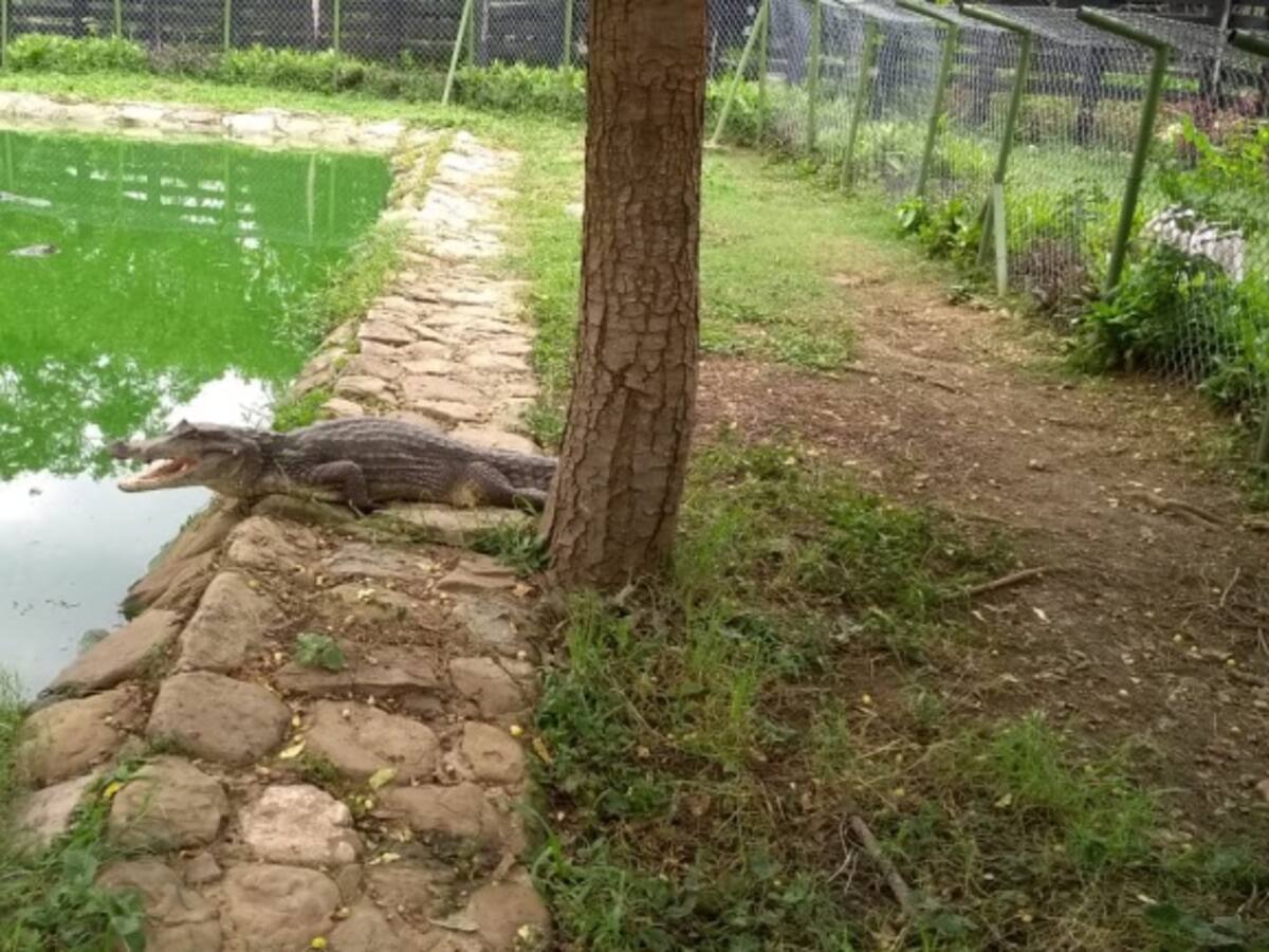 Vivarium de Cartagena, un parque con verdadera experiencia de conservación