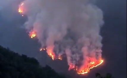 Incendio forestal en zona rural del Bucarasica, Norte de Santander. / Foto: Tomada desde video cortesía comunidad.