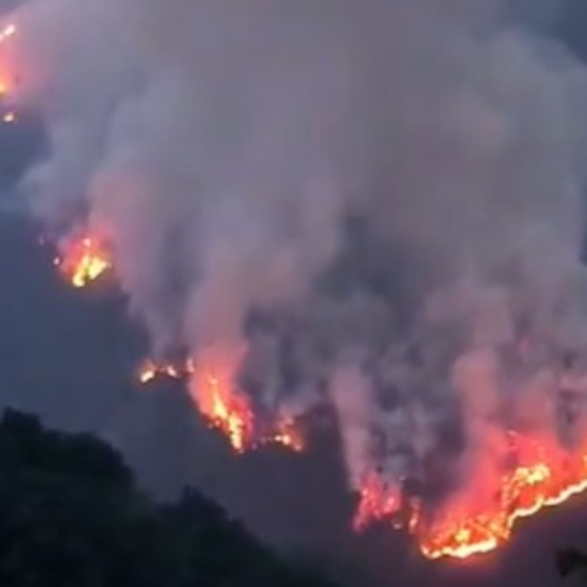 Varias familias han sido evacuadas por incendio forestal en Bucarasica, Norte de Santander