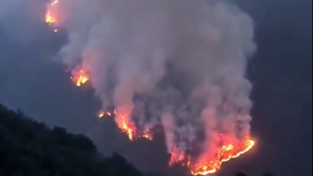 Varias familias han sido evacuadas por incendio forestal en Bucarasica, Norte de Santander