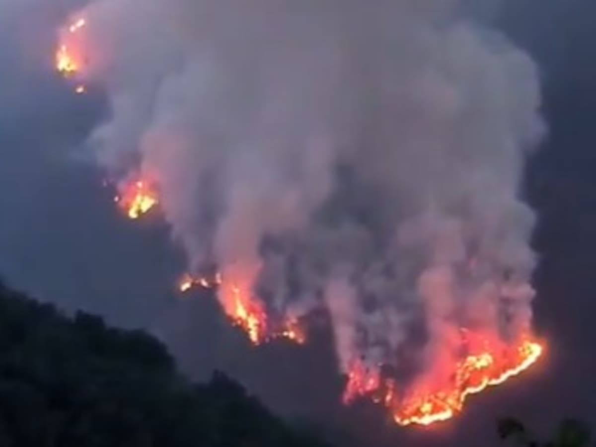 En Norte de Santander se han presentado 69 incendios forestales: Corponor