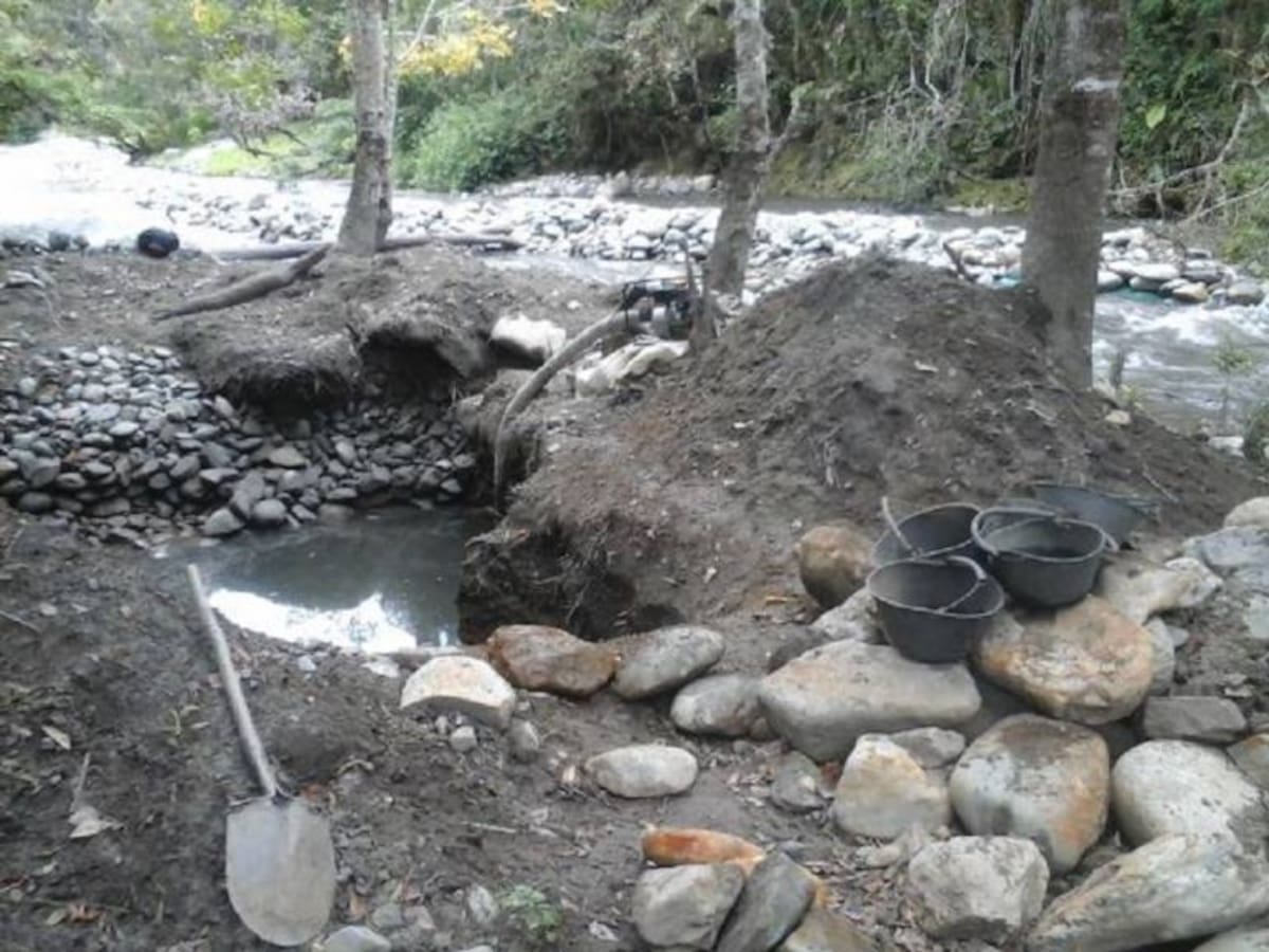 Doce personas detenidas por minería ilegal en reserva forestal