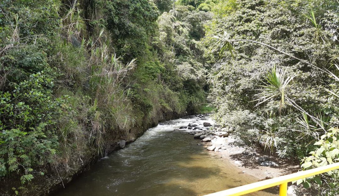 Hay preocupación por la reducción de las fuentes hídricas