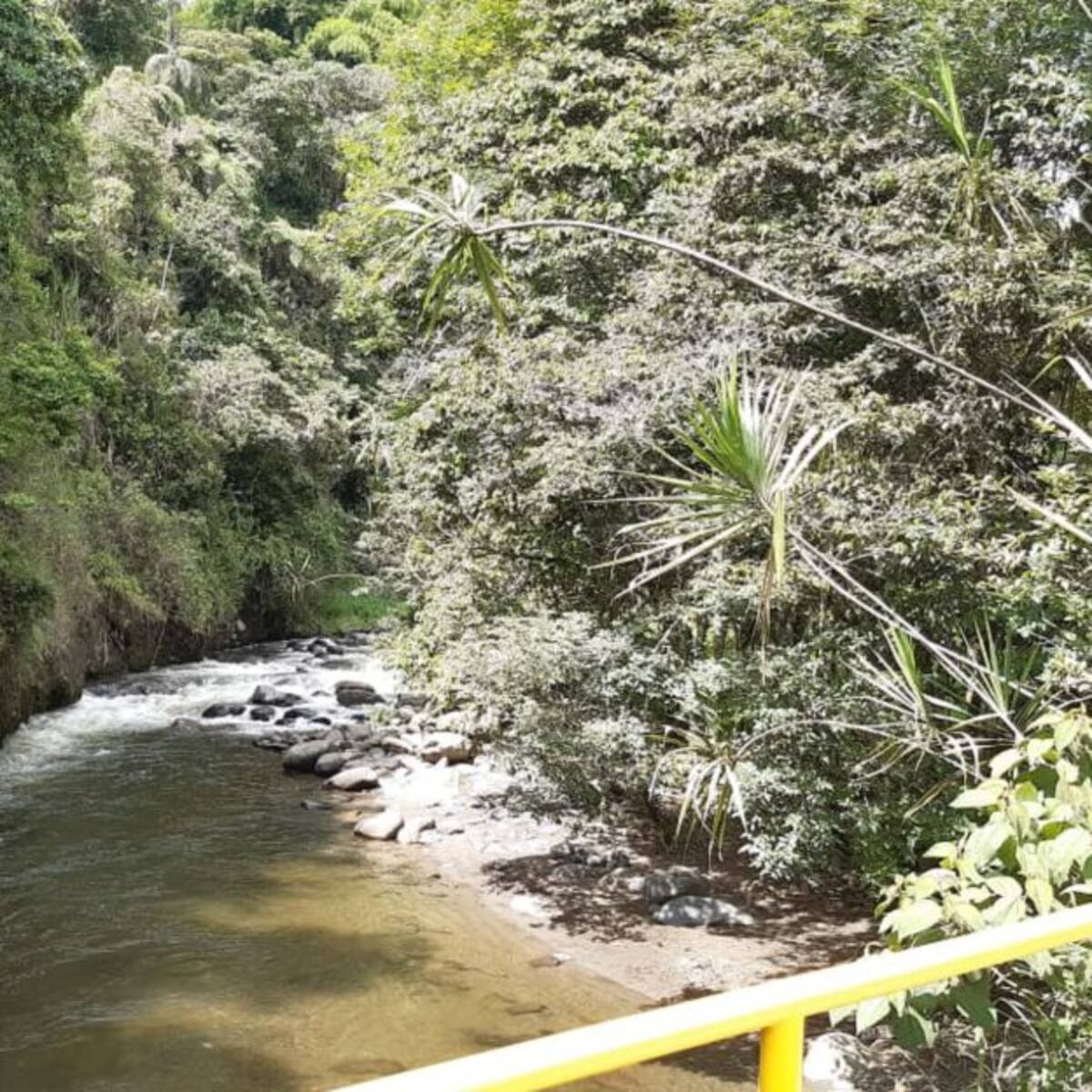 Si en 2 semanas no llueve, tendríamos problema de agua:alcaldesa Circasia