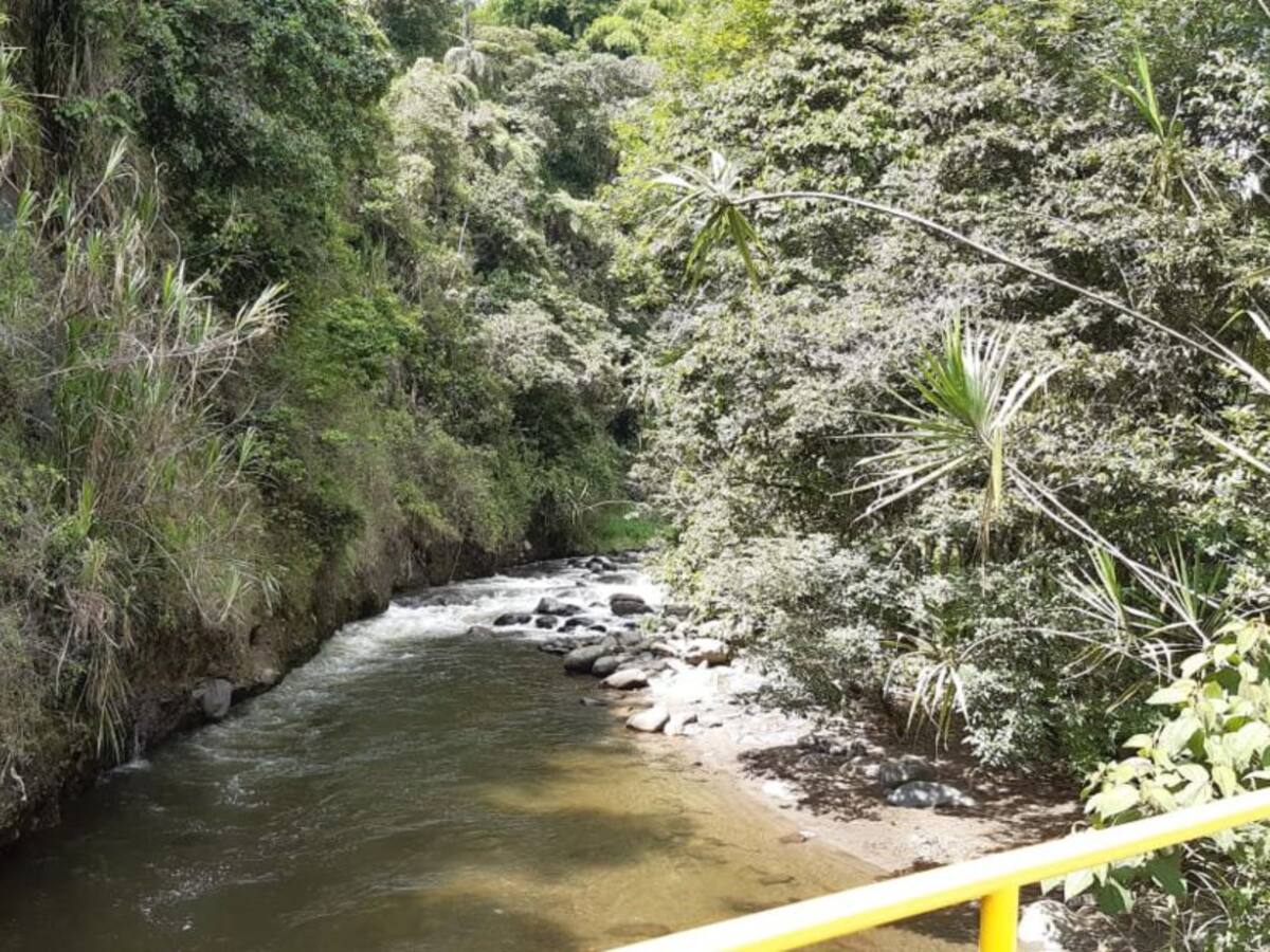 Si en 2 semanas no llueve, tendríamos problema de agua:alcaldesa Circasia