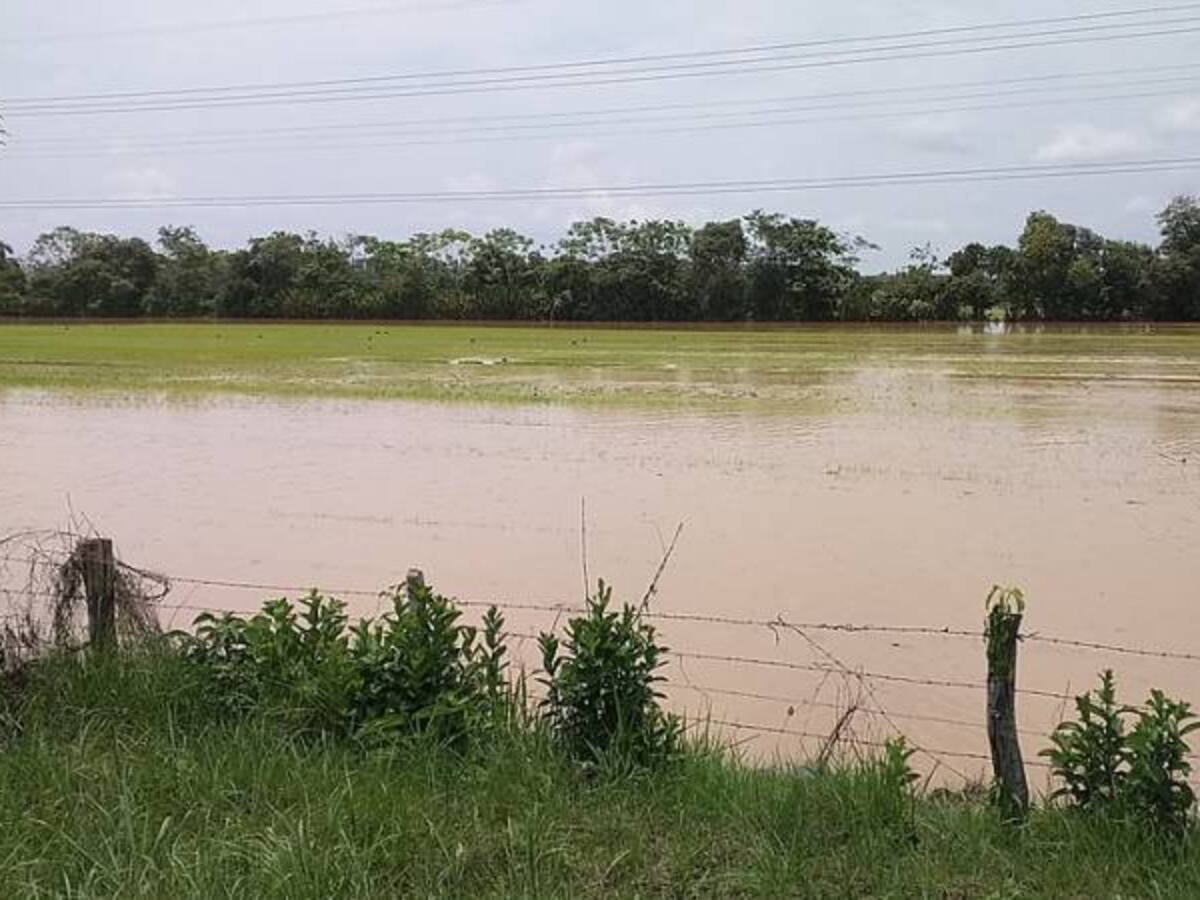Organismos de socorro monitorean ríos del norte del Tolima