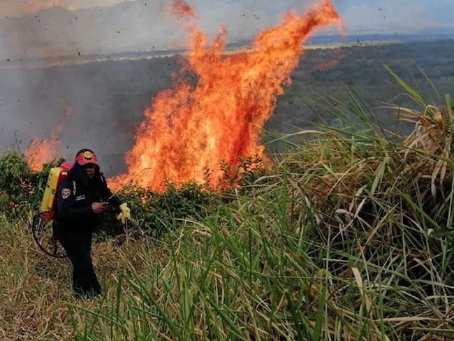 Mil hectáreas afectadas por incendio forestal en el Huila