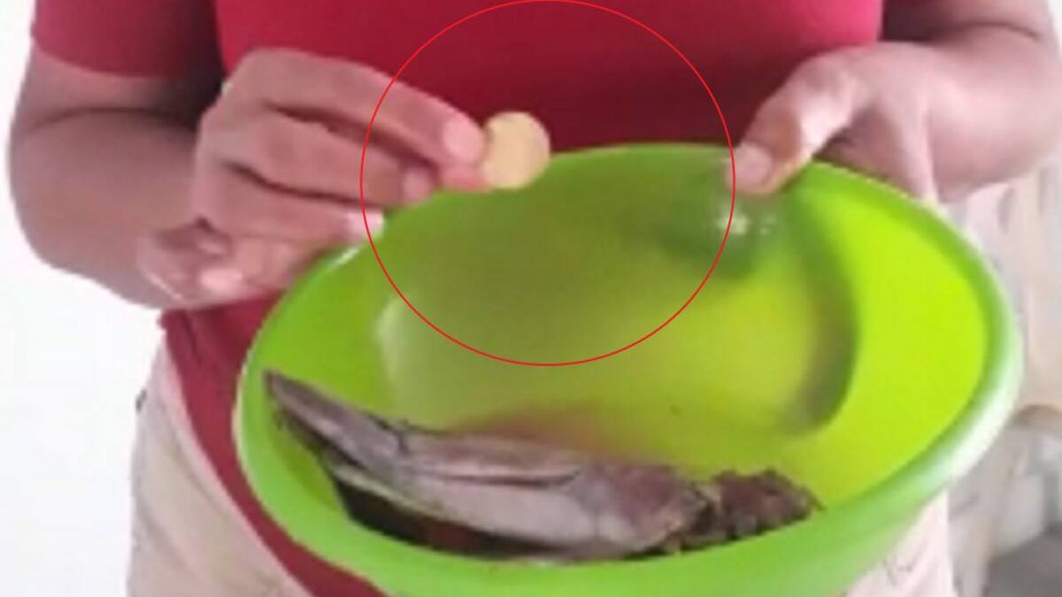 En Santa Marta hallan una moneda de oro antigua en la boca de un pescado