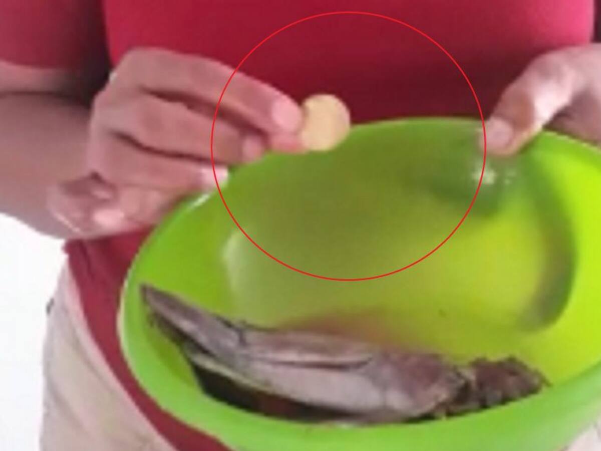 En Santa Marta hallan una moneda de oro antigua en la boca de un pescado