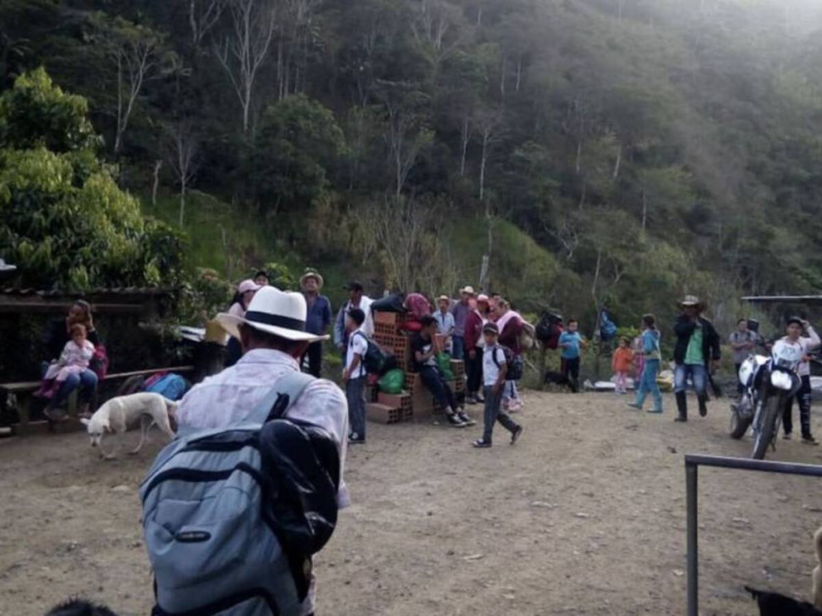Más de 7 mil desplazados este año en Antioquia: personería de Medellín