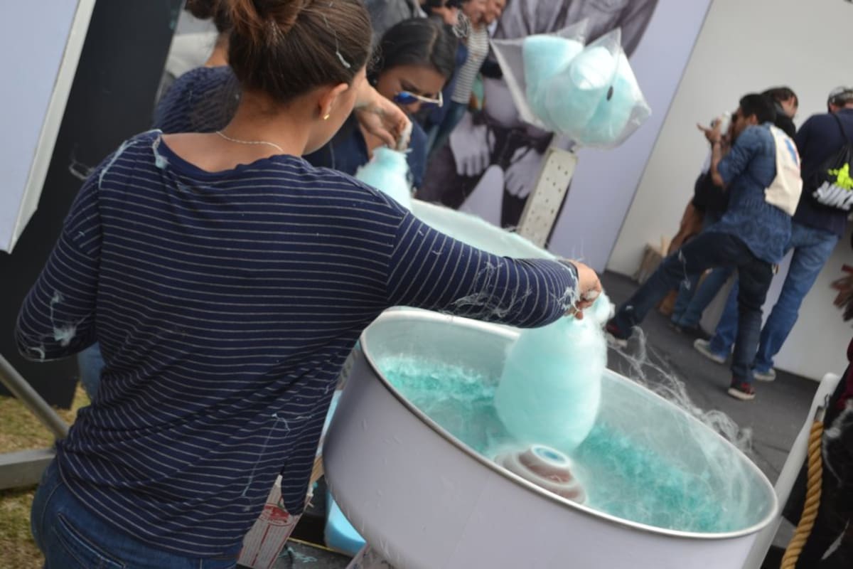 El evento emula la celebración alemana del Oktoberfest, un mes dedicado a beber cerveza y comer salchichas tradicionales del país.