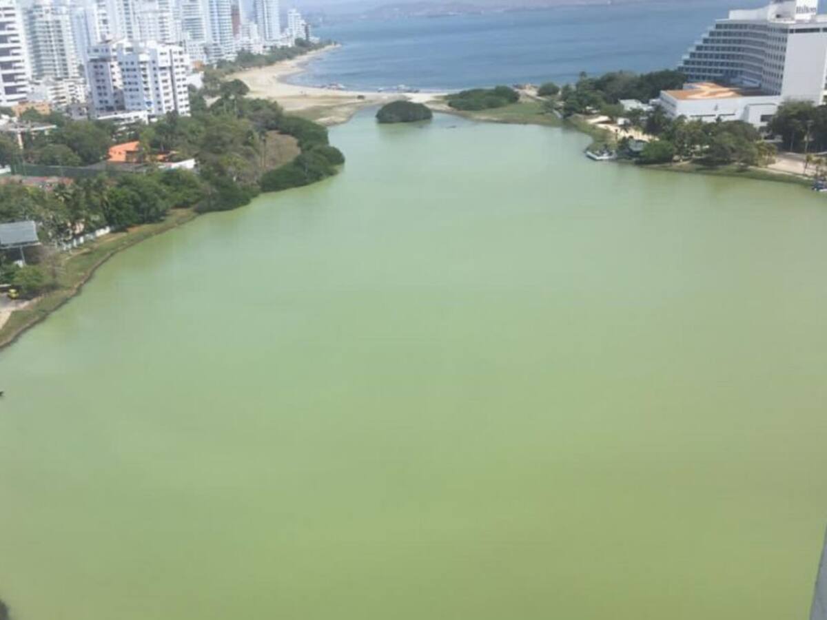 Color verde de El Laguito podría estar asociado con vertimientos: Cardique