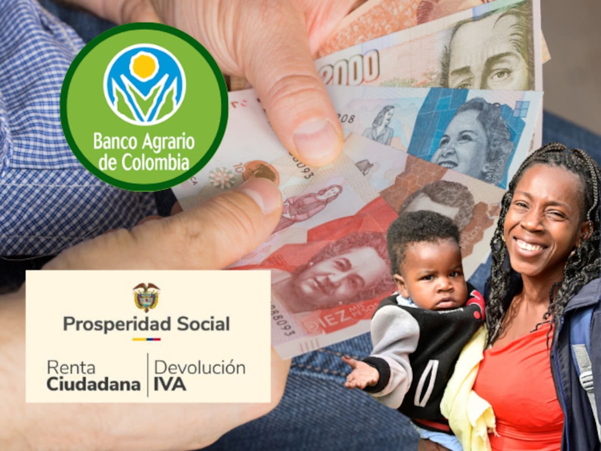 Link para consultar con cédula si recibe el pago de AGOSTO de Renta Ciudadana e IVA