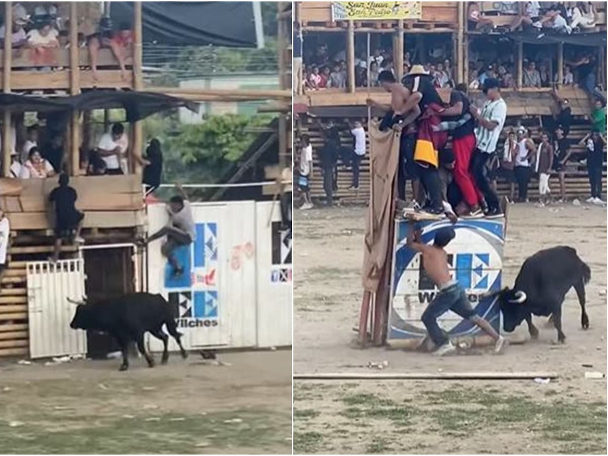 Ocho personas heridas y una muerta dejan las tradicionales corralejas de El Espinal, Tolima