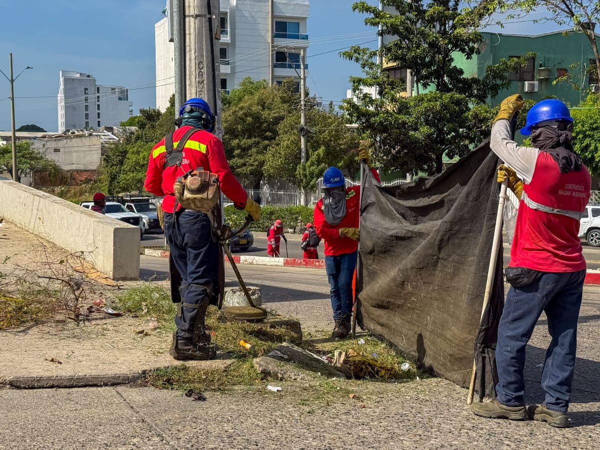 Veolia lideró jornada de embellecimiento y recuperación en Av. Crisanto Luque