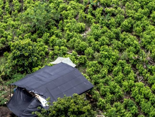 ANT buscará acabar conflicto de tierras en Tumaco
