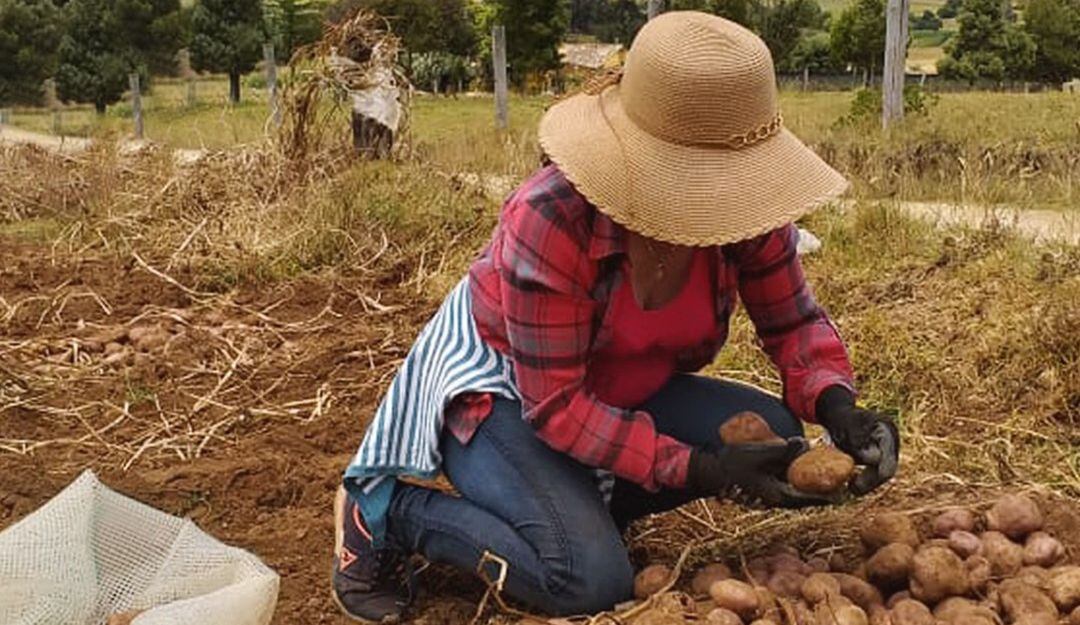 Los campesinos en el departamento de Boyacá señalan que hay una grave crisis en el sector a causa de los cambios climáticos y la falta de apoyo de la Nación.