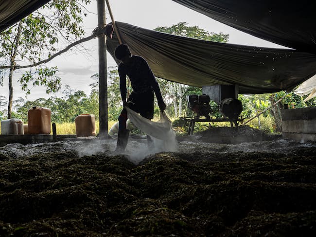 Producción de cocaína en un 'laboratorio' en Colombia.
(Foto: Edinson Arroyo/picture alliance via Getty Images)