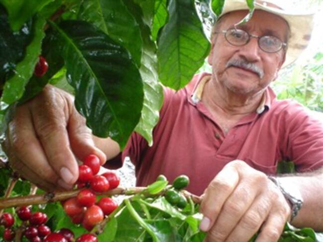 Cafeteros en Antioquia afirman que el Gobierno no les ha cumplido