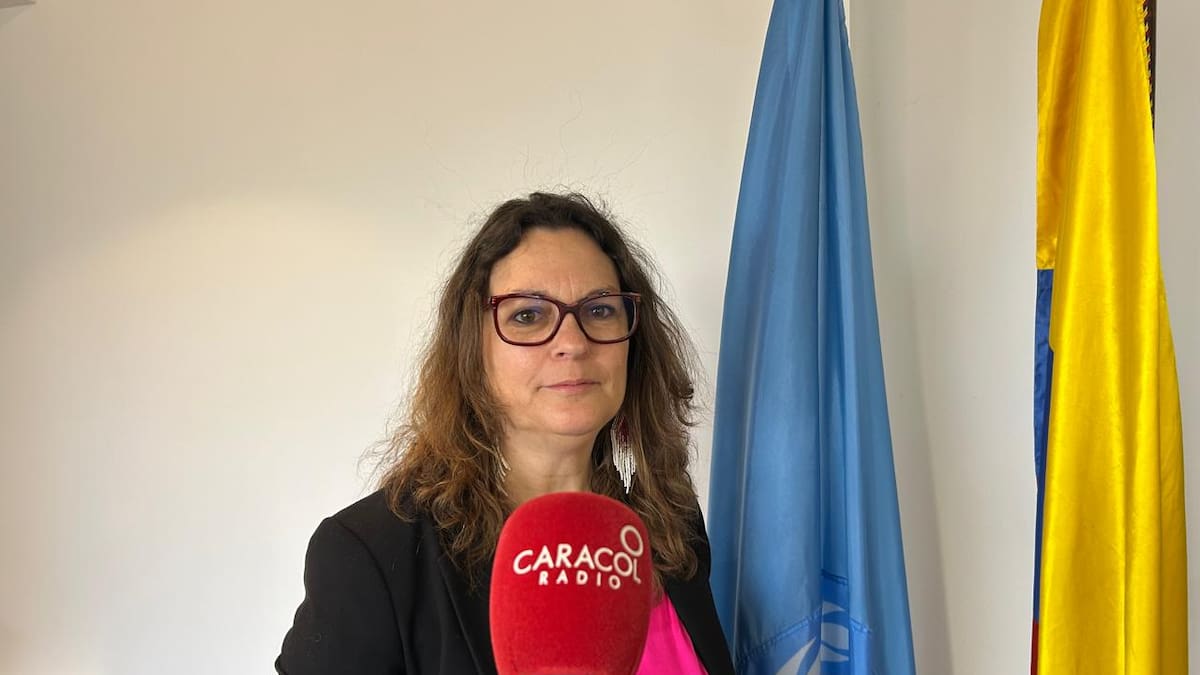 “Colombia tiene más capacidades de enfrentar sus problemas, que problemas”: ONU DD.HH.