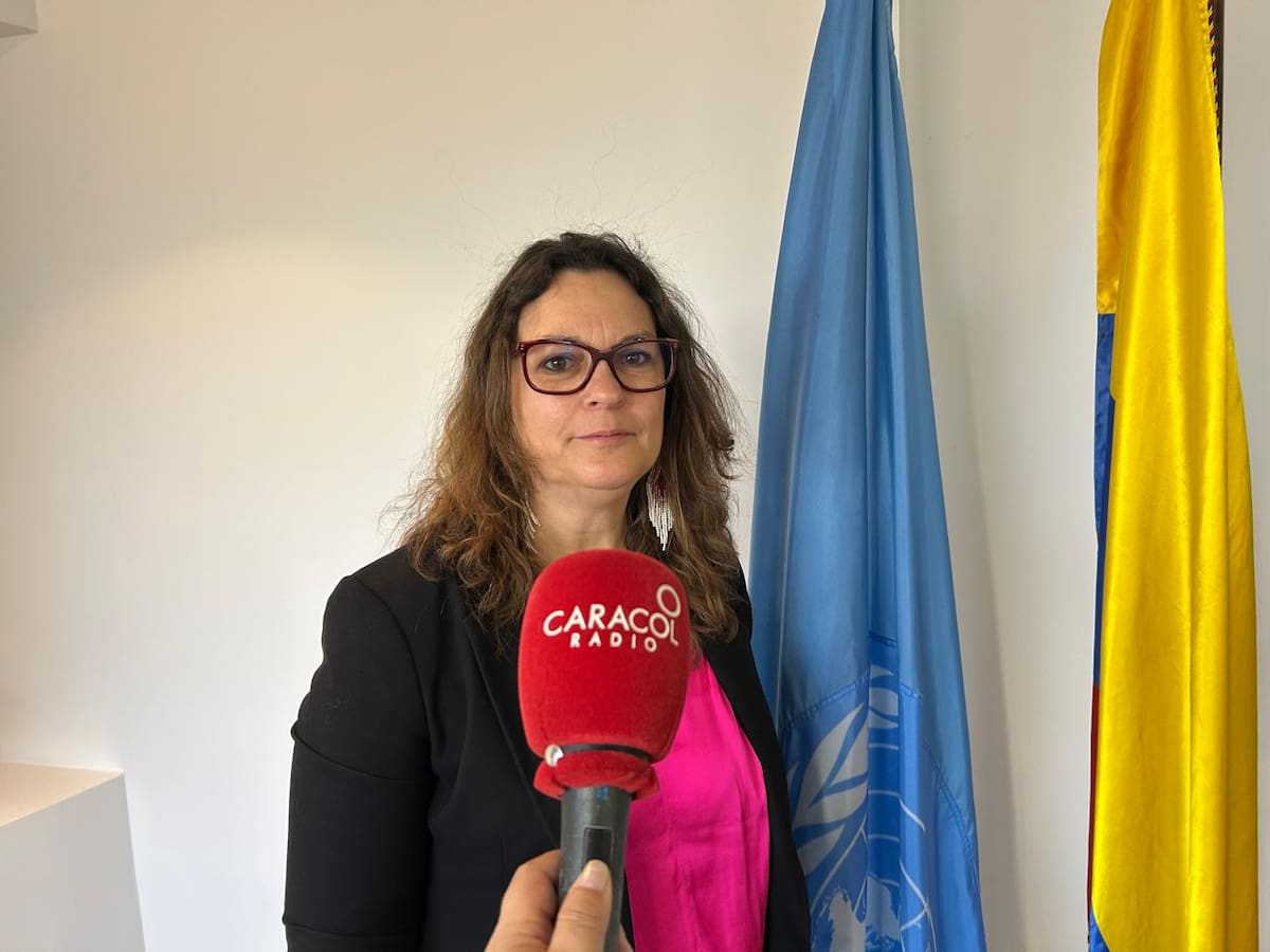 “Colombia tiene más capacidades de enfrentar sus problemas, que problemas”: ONU DD.HH.