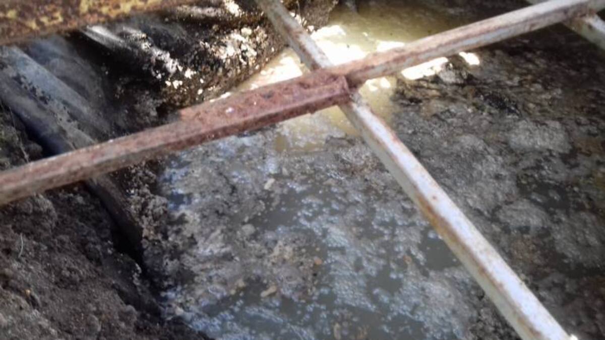 (VIDEO) Tutela obliga a alcaldía Armenia a intervenir Pozos sépticos en Florida baja