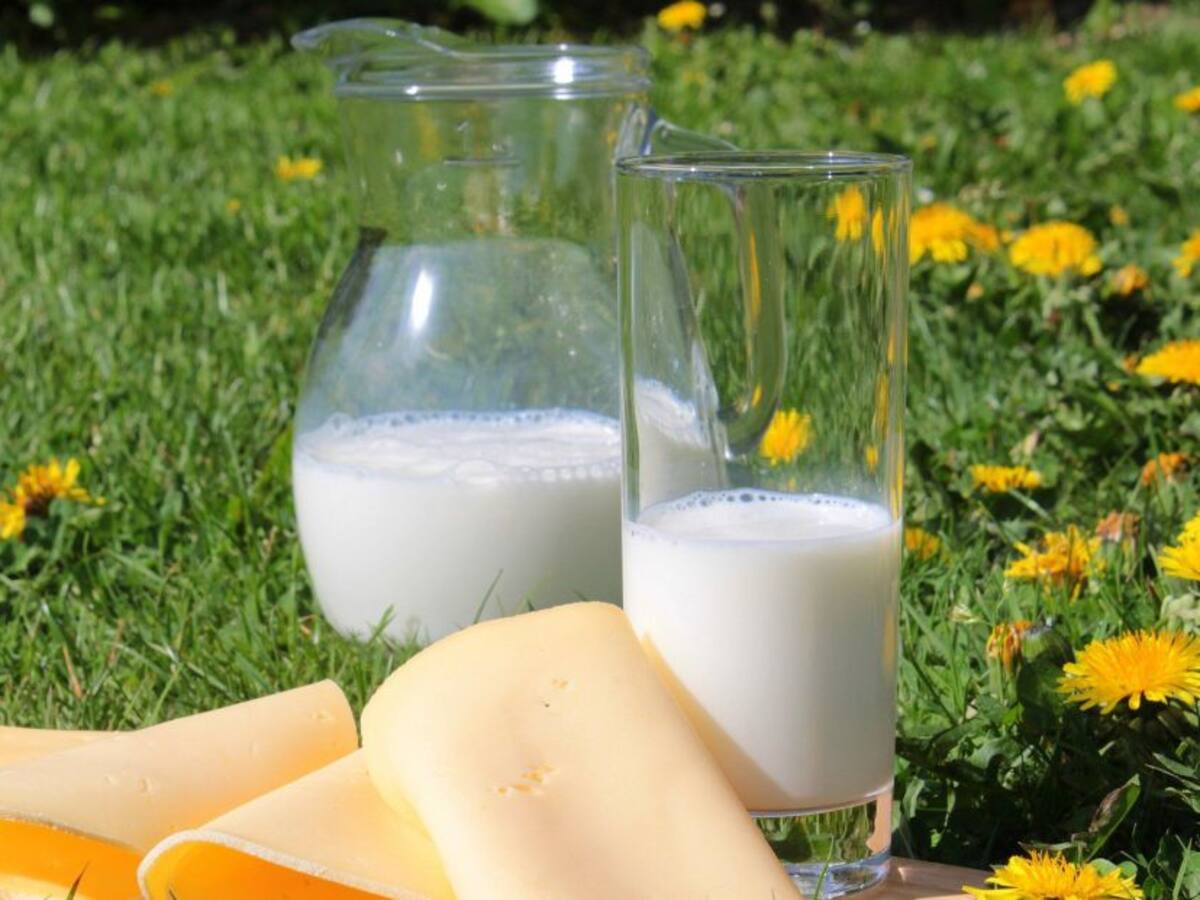 ¿Qué es la osteoporosis?