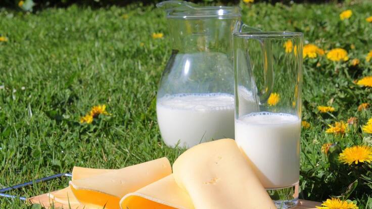 ¿Qué es la osteoporosis?